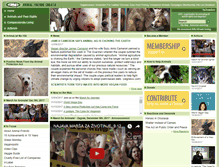 Tablet Screenshot of animal-friends-croatia.org